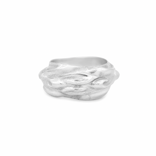 Anillo Agua